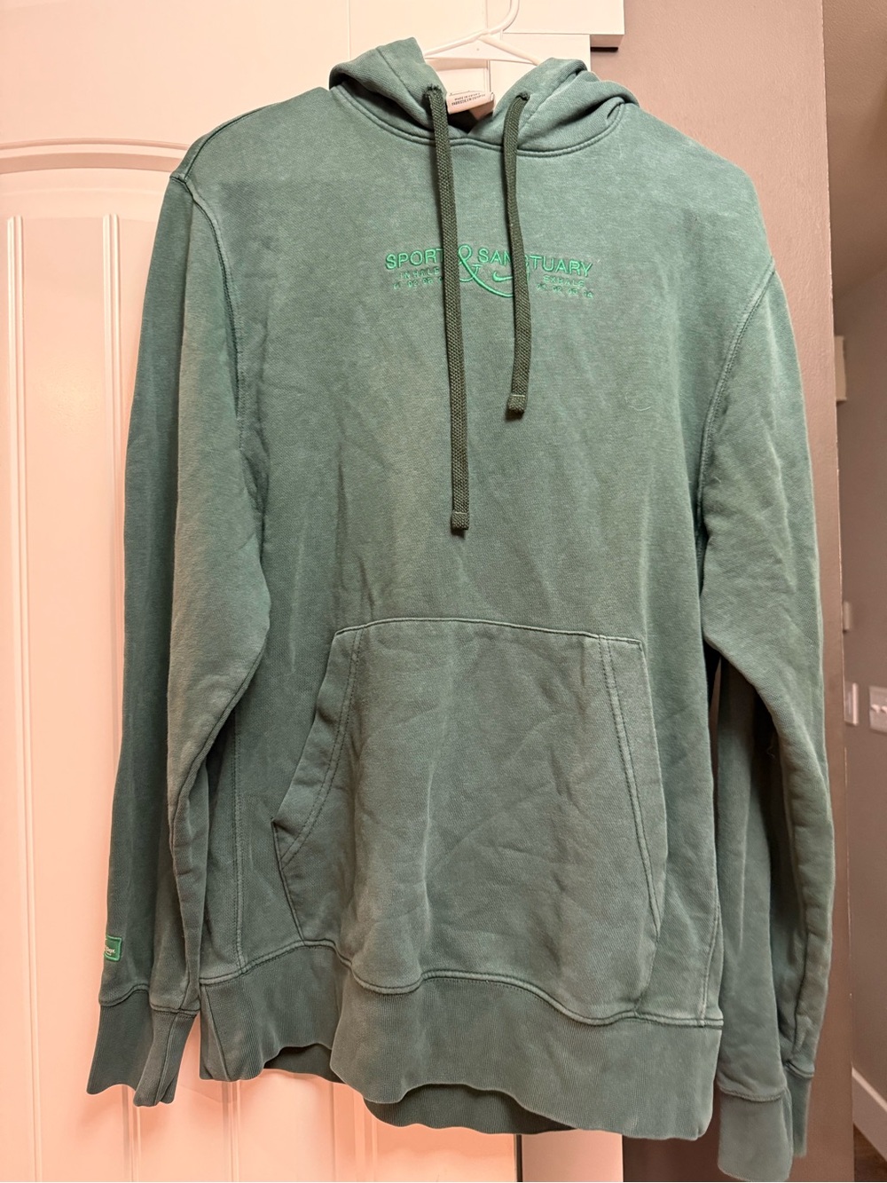 Nike Men's Sage Green Pullover Hoodie